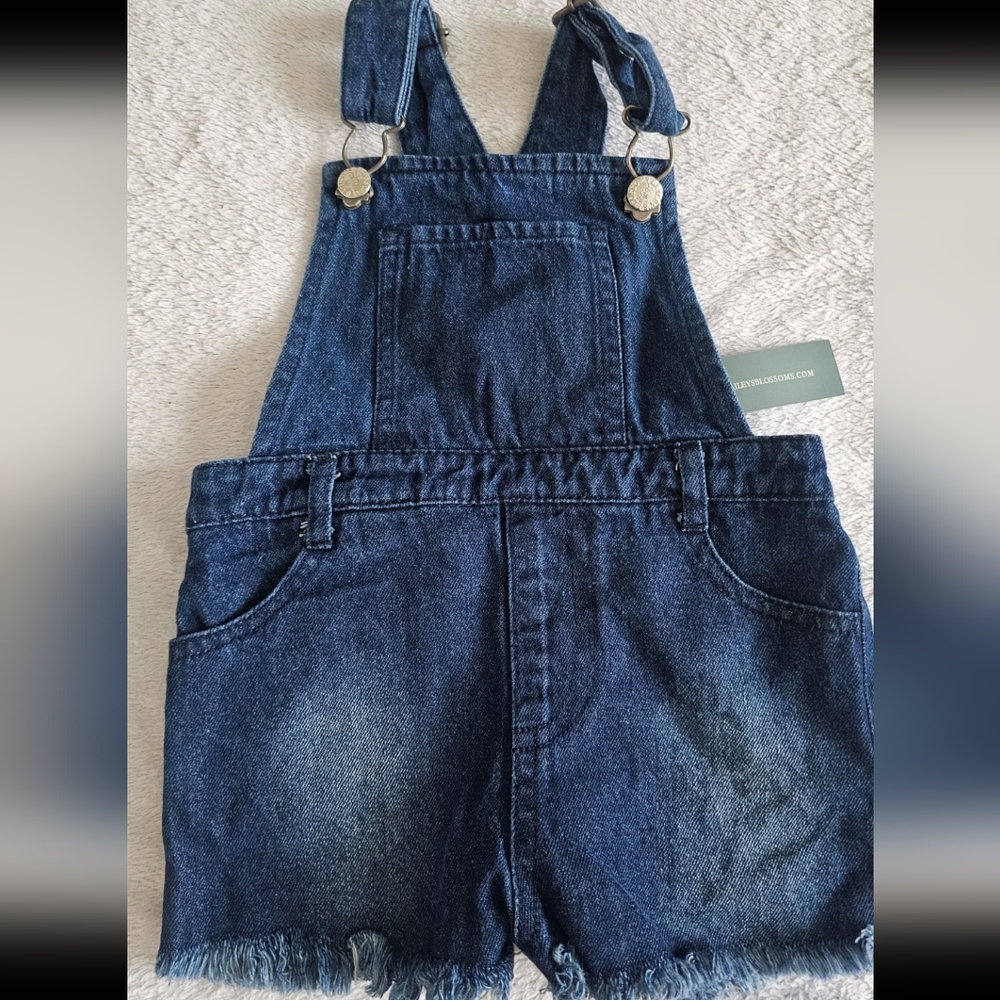 Bailey's blossoms - Overalls 2t NWT